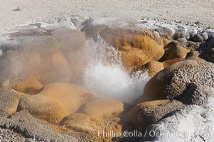Shell Spring (Shell Geyser) erupts almost continuously.   The geysers opening resembles the two halves of a bivalve seashell, hence its name.  Biscuit Basin, Yellowstone National Park, Wyoming