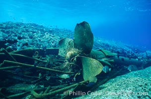 Propellor and debris, wreck of F/V Jin Shiang Fa, Rose Atoll National Wildlife Sanctuary