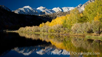 Sierra Nevada mountains and aspen trees, fall colors reflected in the still waters of North Lake, Populus tremuloides, Bishop Creek Canyon Sierra Nevada Mountains