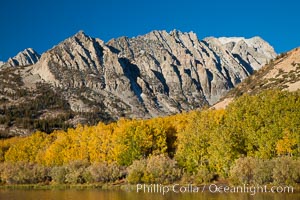 Sierra Nevada mountains and aspen trees, fall colors reflected in the still waters of North Lake, Populus tremuloides, Bishop Creek Canyon Sierra Nevada Mountains