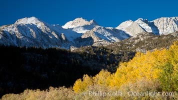 Sierra Nevada mountains and aspen trees, fall colors reflected in the still waters of North Lake, Populus tremuloides, Bishop Creek Canyon Sierra Nevada Mountains