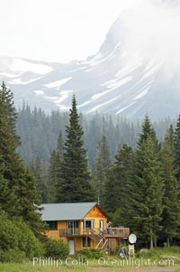 Silver Salmon Creek Lodge, spruce trees and Chigmit Range, Lake Clark National Park, Alaska