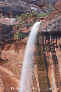 Ephemeral waterfall in Zion Canyon above Weeping Rock.  These falls last only a few hours following rain burst.  Zion Canyon, Zion National Park, Utah