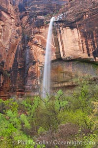 Ephemeral waterfall in Zion Canyon above Weeping Rock.  These falls last only a few hours following rain burst.  Zion Canyon, Zion National Park, Utah