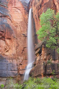 Waterfall at Temple of Sinawava during peak flow following spring rainstorm.  Zion Canyon, Zion National Park, Utah