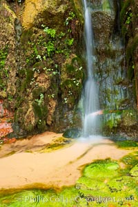 Small waterfall amidst a grotto of ferns, moss and algae. This small oasis exists year round as a result of water seeping from the red sandstone walls of Zion Canyon, Zion National Park, Utah