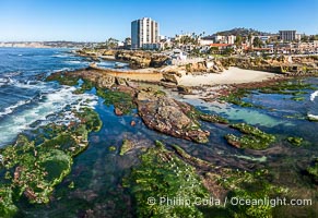 South Casa and Childrens Pool Reef Exposed at Extreme Low King Tide, La Jolla, California. Aerial panoramic photograph