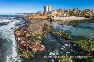 South Casa and Childrens Pool Reef Exposed at Extreme Low King Tide, La Jolla, California. Aerial panoramic photograph