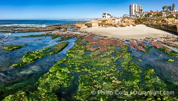 South Casa and Childrens Pool Reef Exposed at Extreme Low King Tide, La Jolla, California. Aerial panoramic photograph