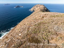 South Coronado Island, viewed from the south, with Middle Island and North Island in the distance, Coronado Islands (Islas Coronado)