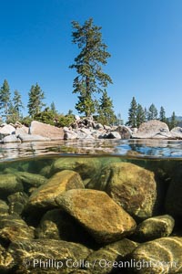 Split view of Trees and Underwater Boulders, Lake Tahoe, Nevada