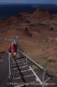 Stairs leading to summit of Bartolome, Bartolome Island