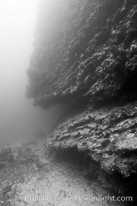 The submerged volcanic cone of Cousins is cut on its sides by ledges and overhangs.  Black and white / grainy.  Cousins
