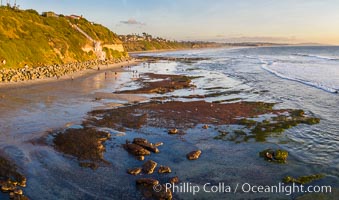 Swamis Beach Reefs Exposed by King Tides, people explore ocean reefs normally underwater but exposed on the extreme low tides known as King Tides. Aerial photo, Encinitas, California