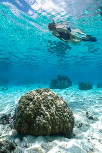 Swimmer over coral head in warm clear waters of Moorea lagoon, French Polynesia