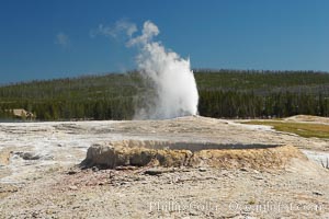 The rim of Teakettle Spring appears in the foreground while Old Faithful erupts in the distance, Yellowstone National Park, Wyoming