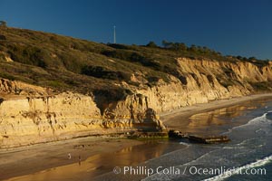 Torrey Pines seacliffs, rising up to 300 feet above the ocean, stretch from Del Mar to La Jolla.  On the mesa atop the bluffs are found Torrey pine trees, one of the rare species of pines in the world, Torrey Pines State Reserve, San Diego, California