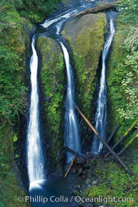 Triple Falls, in the upper part of Oneonta Gorge, fall 130 feet through a lush, beautiful temperate rainforest, Columbia River Gorge National Scenic Area, Oregon