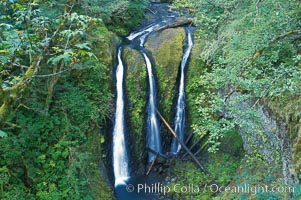 Triple Falls, a trio of falls dropping 130 feet in the upper part of Oneonta Gorge, Columbia River Gorge National Scenic Area, Oregon