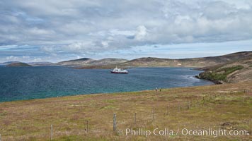 Typical grasslands of the Falkland Islands, a pastoral setting with old wooden fence and rolling fields, icebreaker ship M/V Polar Star at anchor just offshore, New Island
