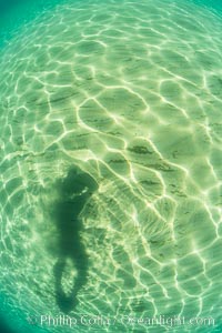 Underwater Light and Sand, Lake Tahoe, Nevada