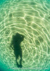 Underwater Light and Sand, Lake Tahoe, Nevada