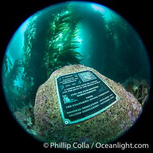 Underwater Plaque Honoring Jacques Cousteau at the Casino Point Dive Park, Avalon, Catalina Island