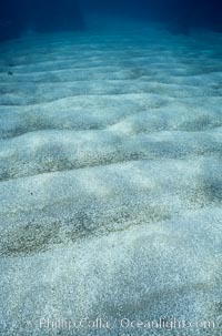 Ocean and Light - Beautiful photos of light on, in and under the Sea