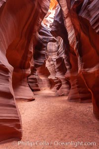 Antelope Canyon, a deep narrow slot canyon formed by water and wind erosion, Navajo Tribal Lands, Page, Arizona