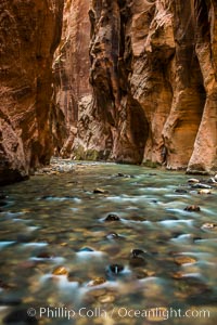 The Virgin River Narrows, where the Virgin River has carved deep, narrow canyons through the Zion National Park sandstone, creating one of the finest hikes in the world