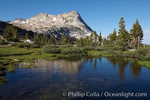 Vogelsang Peak (11516') in Yosemite's High Sierra, reflected in small pond, morning, summer, Yosemite National Park, California