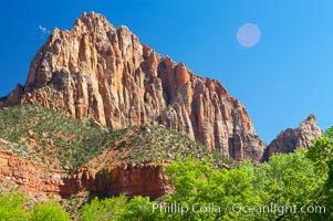 The Watchman, a red Navaho sandstone peak in Zion National Park