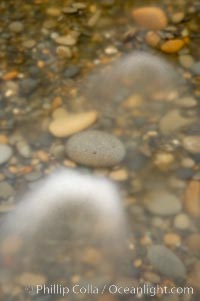 Water flows past beach cobblestones, blur, Ruby Beach, Olympic National Park, Washington