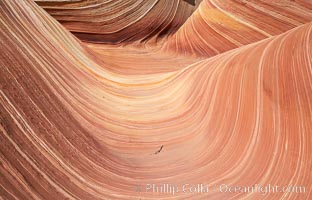 The Wave, an area of fantastic eroded sandstone featuring beautiful swirls, wild colors, countless striations, and bizarre shapes set amidst the dramatic surrounding North Coyote Buttes of Arizona and Utah.  The sandstone formations of the North Coyote Buttes, including the Wave, date from the Jurassic period. Managed by the Bureau of Land Management, the Wave is located in the Paria Canyon-Vermilion Cliffs Wilderness and is accessible on foot by permit only