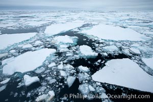 Pack ice and brash ice fills the Weddell Sea, near the Antarctic Peninsula.  This pack ice is a combination of broken pieces of icebergs, sea ice that has formed on the ocean