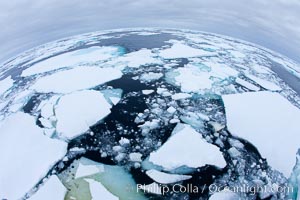 Pack ice and brash ice fills the Weddell Sea, near the Antarctic Peninsula.  This pack ice is a combination of broken pieces of icebergs, sea ice that has formed on the ocean