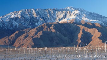 Wind turbines, rise above the flat floor of the San Gorgonio Pass near Palm Springs, with snow covered Mount San Jacinto in the background, provide electricity to Palm Springs and the Coachella Valley