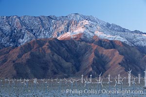 Wind turbines rise above the flat floor of the San Gorgonio Pass near Palm Springs, with snow covered Mount San Jacinto in the background, provide electricity to Palm Springs and the Coachella Valley