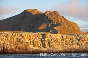 Wolf Island is the largest of the islands in the distant northern island group of the Galapagos archipelago, is home to hundreds of thousands of seabirds.  Vast schools of sharks and fish inhabit the waters surrounding Wolf Island