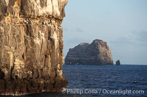 Seacliffs, home of many seabirds, Wolf Island