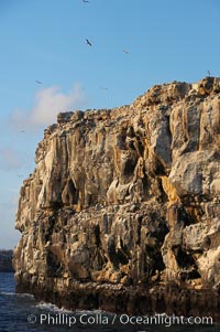 Seacliffs, home of many seabirds, Wolf Island