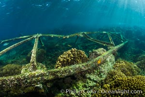 Wreck Lighthouse, Lobera San Rafaelito, Sea of Cortez