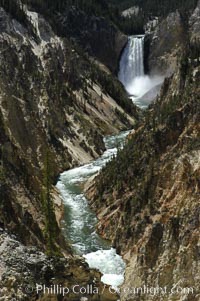 Lower Yellowstone Falls and the Yellowstone River flow through the Grand Canyon of the Yellowstone, viewed from Artist Point late morning, Yellowstone National Park, Wyoming