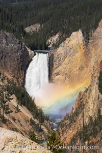 A rainbow appears in the mist of the Lower Falls of the Yellowstone River.  At 308 feet, the Lower Falls of the Yellowstone River is the tallest fall in the park.  This view is from the famous and popular Artist Point on the south side of the Grand Canyon of the Yellowstone.  When conditions are perfect in midsummer, a morning rainbow briefly appears in the falls, Yellowstone National Park, Wyoming