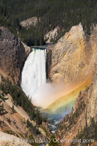 A rainbow appears in the mist of the Lower Falls of the Yellowstone River.  A long exposure blurs the fast-flowing water.  At 308 feet, the Lower Falls of the Yellowstone River is the tallest fall in the park.  This view is from the famous and popular Artist Point on the south side of the Grand Canyon of the Yellowstone.  When conditions are perfect in midsummer, a morning rainbow briefly appears in the falls, Yellowstone National Park, Wyoming