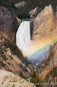 A rainbow appears in the mist of the Lower Falls of the Yellowstone River.  At 308 feet, the Lower Falls of the Yellowstone River is the tallest fall in the park.  This view is from the famous and popular Artist Point on the south side of the Grand Canyon of the Yellowstone.  When conditions are perfect in midsummer, a morning rainbow briefly appears in the falls, Yellowstone National Park, Wyoming