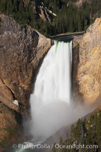 Lower Falls of the Yellowstone River.  At 308 feet, the Lower Falls of the Yellowstone River is the tallest fall in the park.  This view is from Lookout Point on the North side of the Grand Canyon of the Yellowstone.  The canyon is approximately 10,000 years old, 20 miles long, 1000 ft deep, and 2500 ft wide.  Its yellow, orange and red-colored walls are due to oxidation of the various iron compounds in the soil, and to a lesser degree, sulfur content, Yellowstone National Park, Wyoming