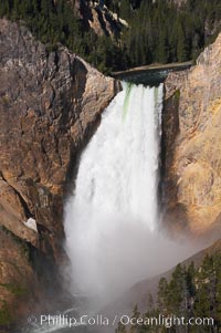 Lower Falls of the Yellowstone River.  At 308 feet, the Lower Falls of the Yellowstone River is the tallest fall in the park.  This view is from Lookout Point on the North side of the Grand Canyon of the Yellowstone.  The canyon is approximately 10,000 years old, 20 miles long, 1000 ft deep, and 2500 ft wide.  Its yellow, orange and red-colored walls are due to oxidation of the various iron compounds in the soil, and to a lesser degree, sulfur content, Yellowstone National Park, Wyoming