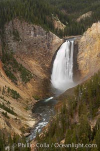 Lower Yellowstone Falls. At 308 feet, the Lower Falls of the Yellowstone River is the tallest fall in the park. This view is from Lookout Point on the North side of the Grand Canyon of the Yellowstone, Yellowstone National Park, Wyoming