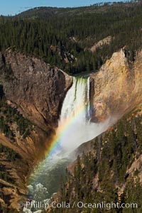 Yellowstone Falls viewed from Lookout Point with a rainbow.  Lower Yellowstone Falls cascades 308' in a thundering plunge into the Grand Canyon of the Yellowstone River, Yellowstone National Park, Wyoming